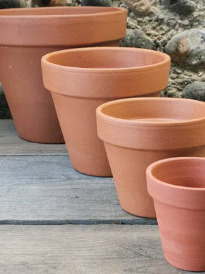 Terracotta Pot