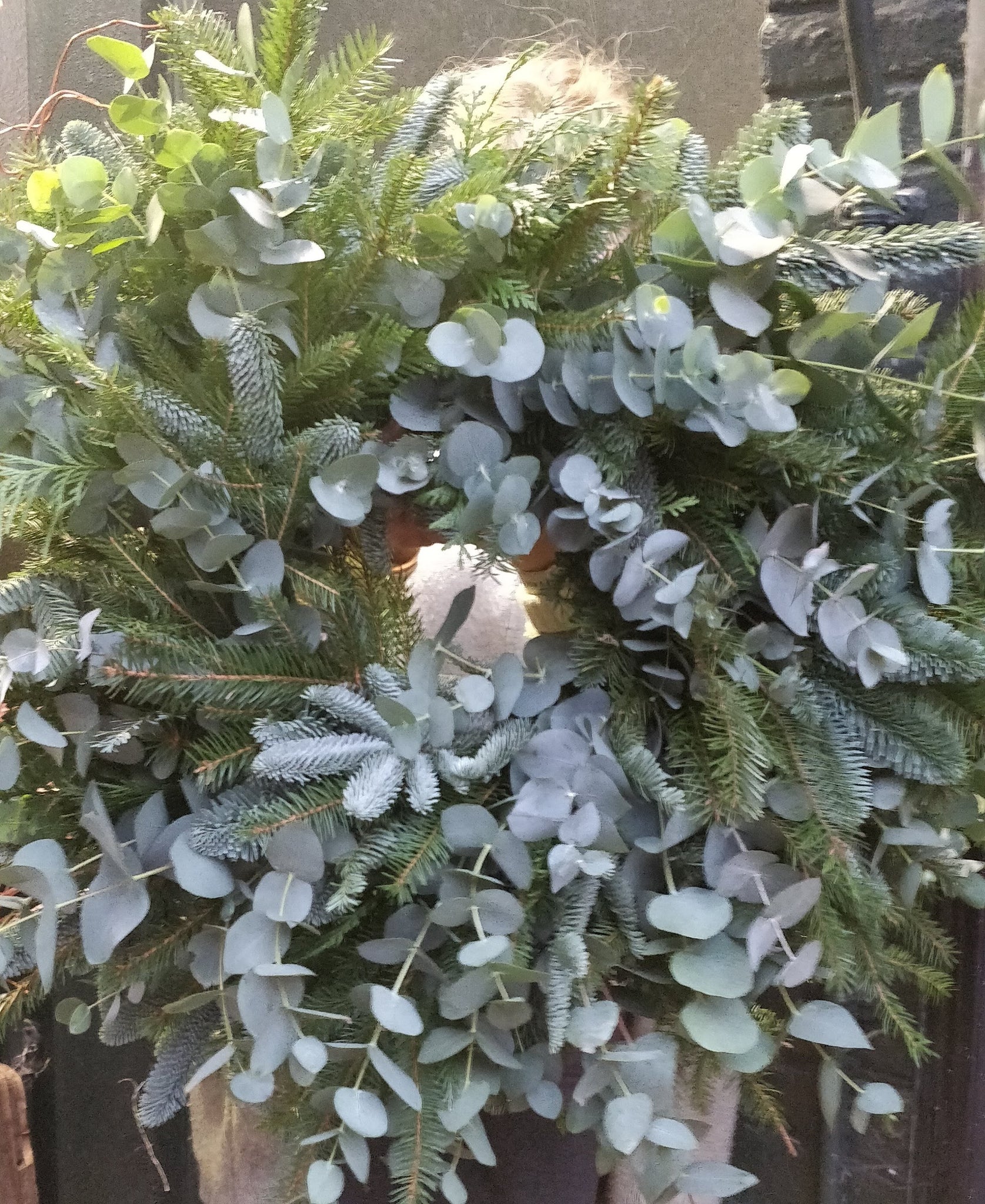 Festive door wreath workshop - Thursday 28th Nov 6.30pm - Sydney street