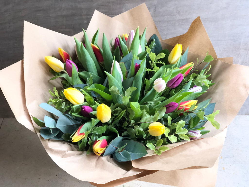 Simply Spring Tulips