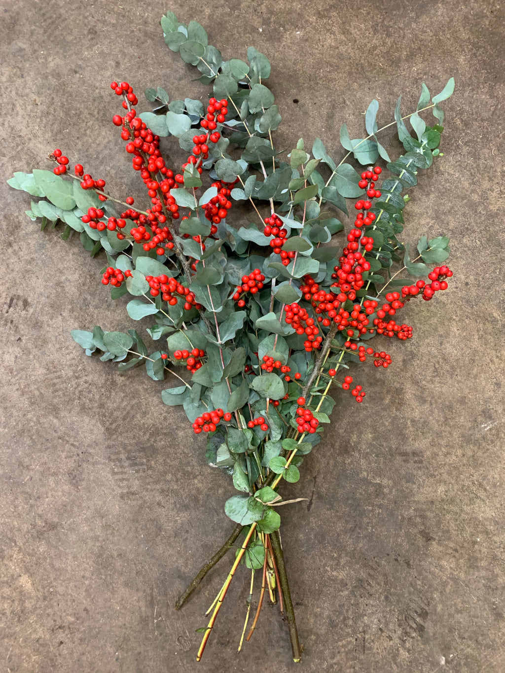 Eucalyptus and Ilex Berry Bunch